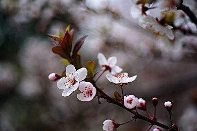 《胜利女神》夏日清凉新活动开启 多款美丽泳装登场